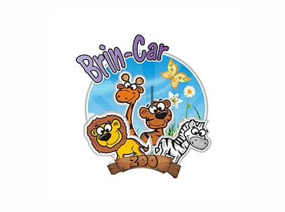 Imagem do(a) brincar zoo